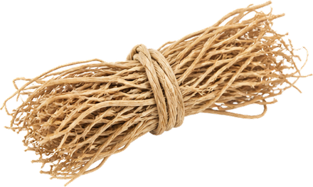 Vetiver